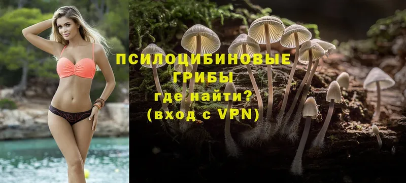 сайты даркнета официальный сайт  Тотьма  Псилоцибиновые грибы Psilocybe  OMG вход 